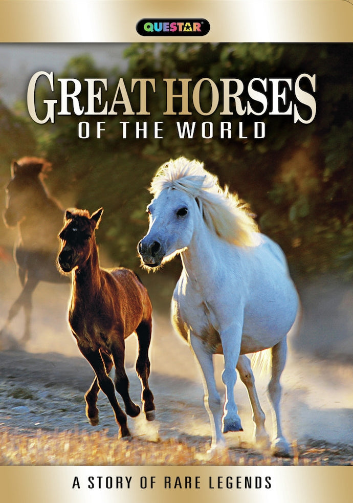 Great Horses of the World cover art