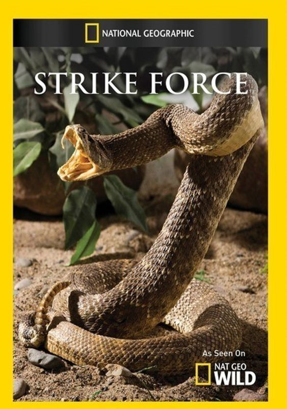 Strike Force cover art