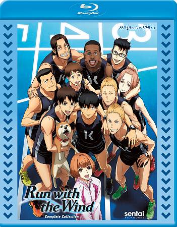 Run with the Wind cover art