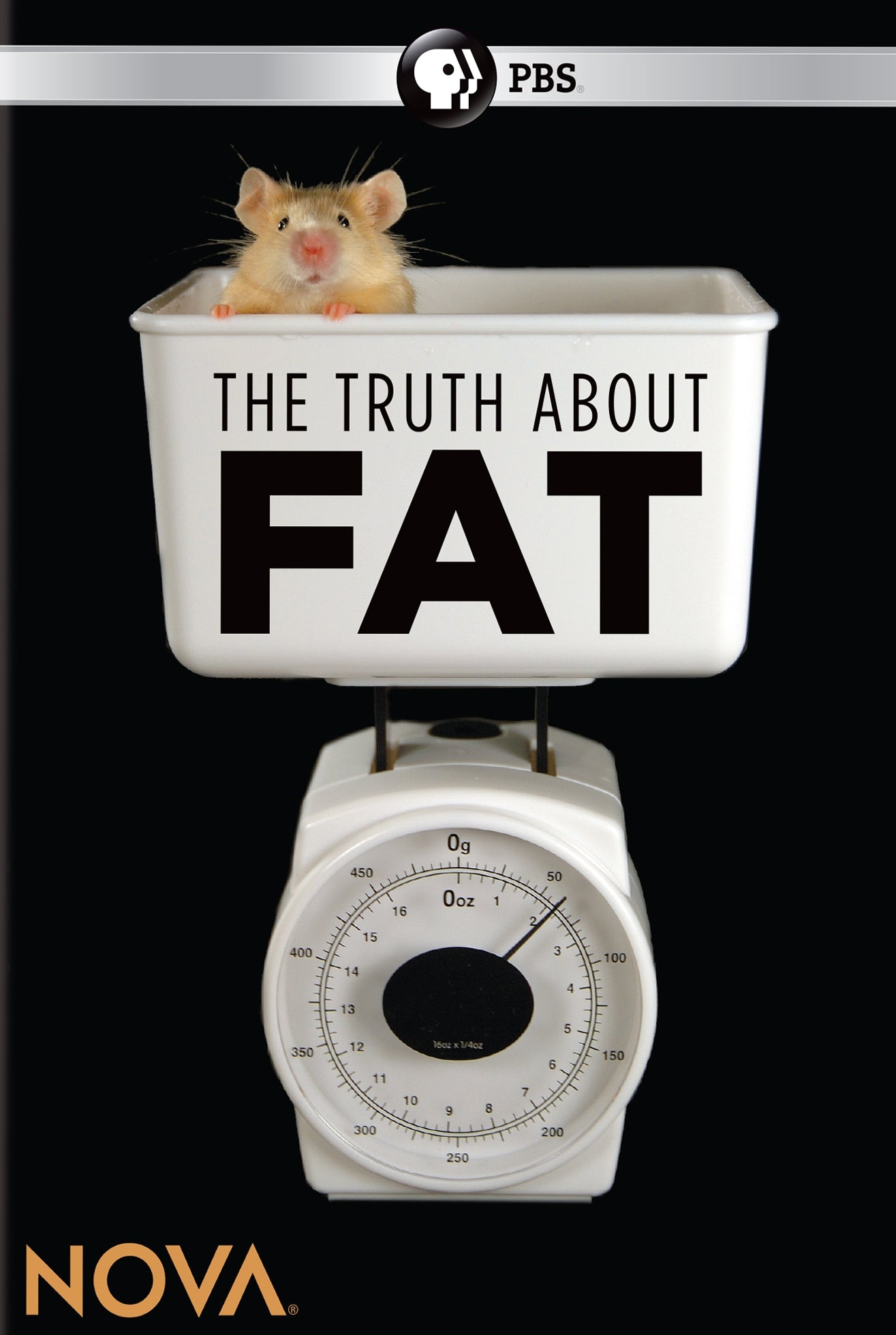 NOVA: The Truth About Fat cover art