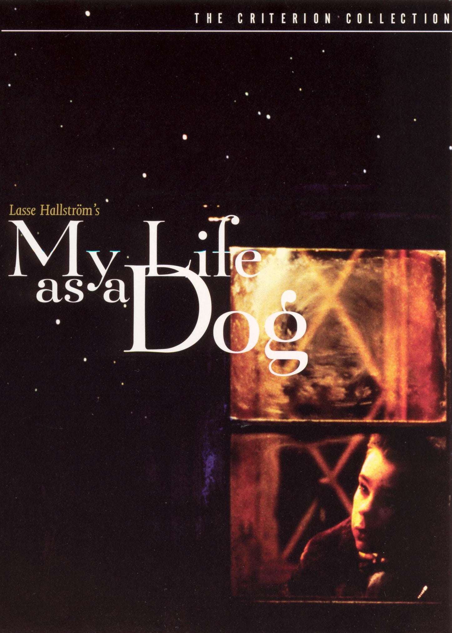My Life as a Dog [Criterion Collection] cover art