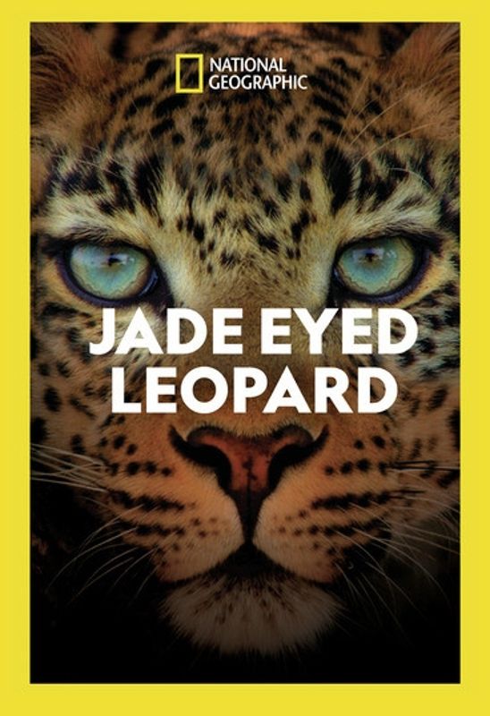 National Geographic: Jade Eyed Leopard cover art