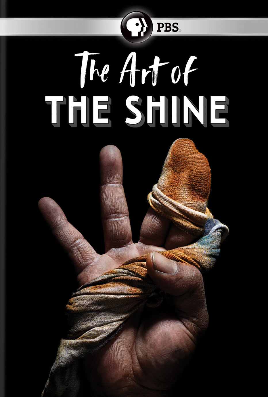 Art of the Shine cover art