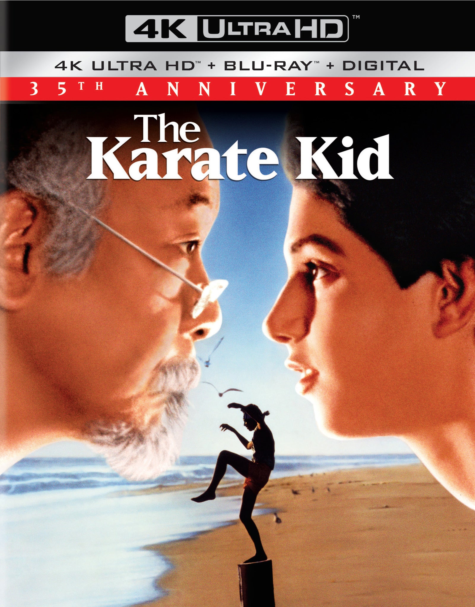 Karate Kid [Includes Digital Copy] [4K Ultra HD Blu-ray/Blu-ray] cover art