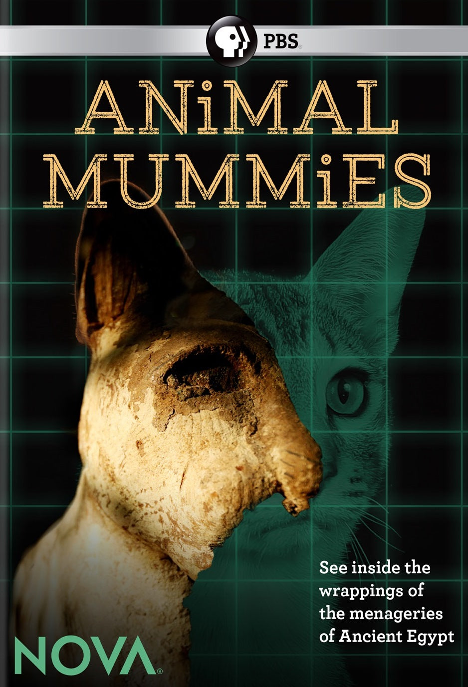 NOVA: Animal Mummies cover art