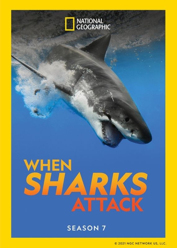 When Sharks Attack: Season 7 [2 Discs] cover art