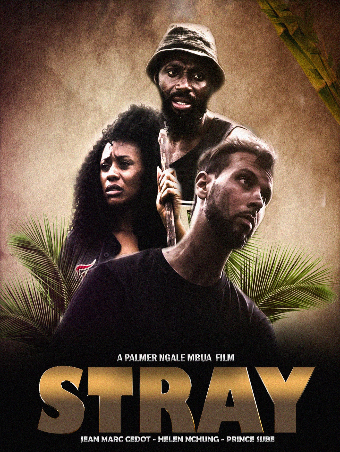 Stray cover art