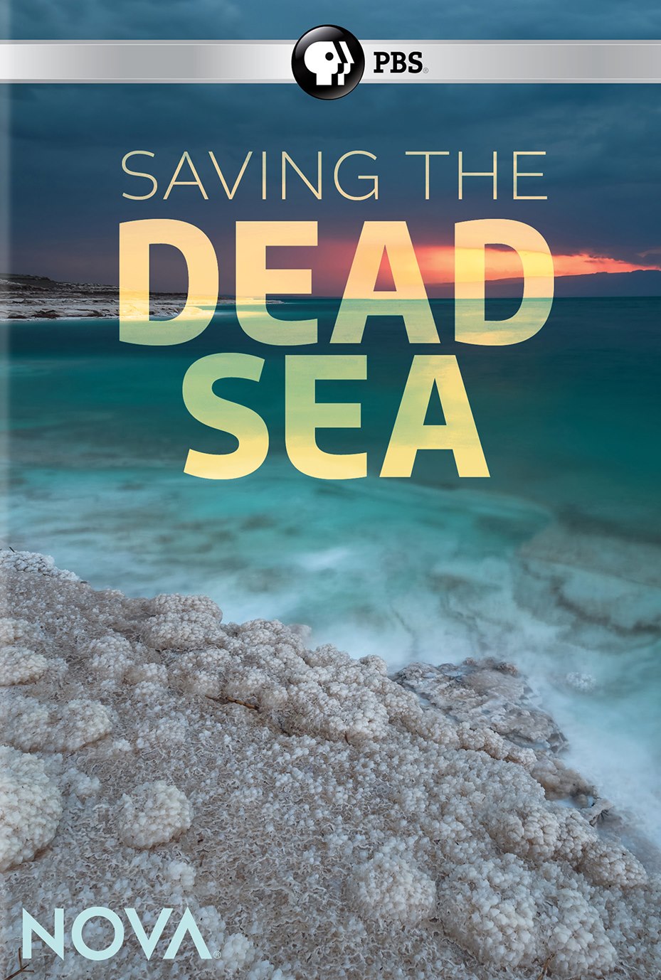 NOVA: Saving the Dead Sea cover art