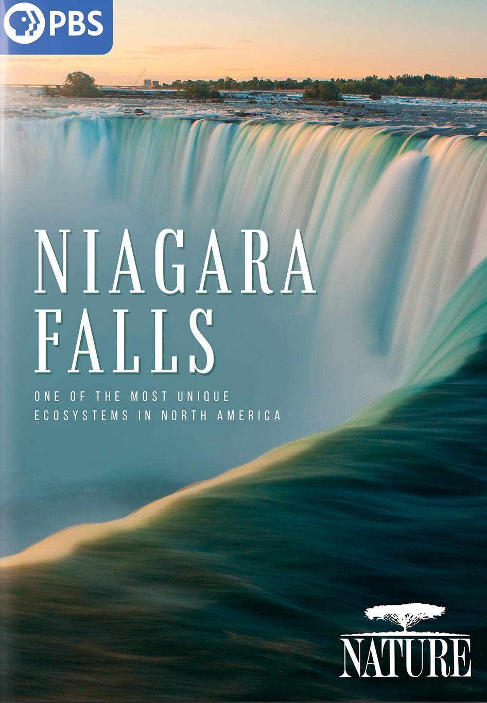 Nature: Niagara Falls cover art