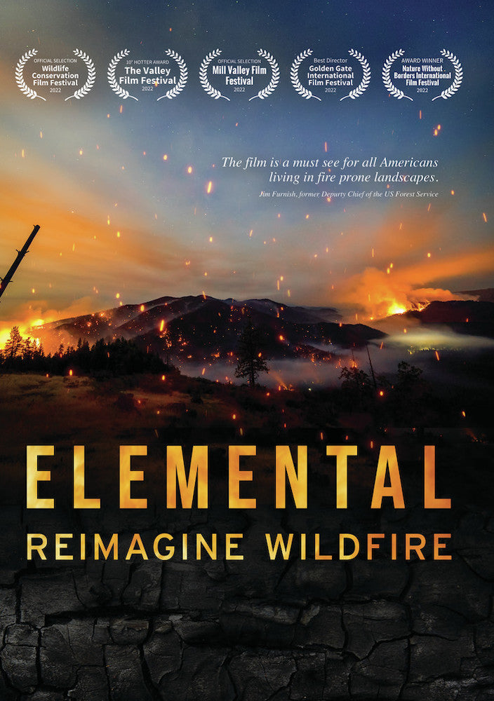 Elemental: Reimagine Wildfire cover art