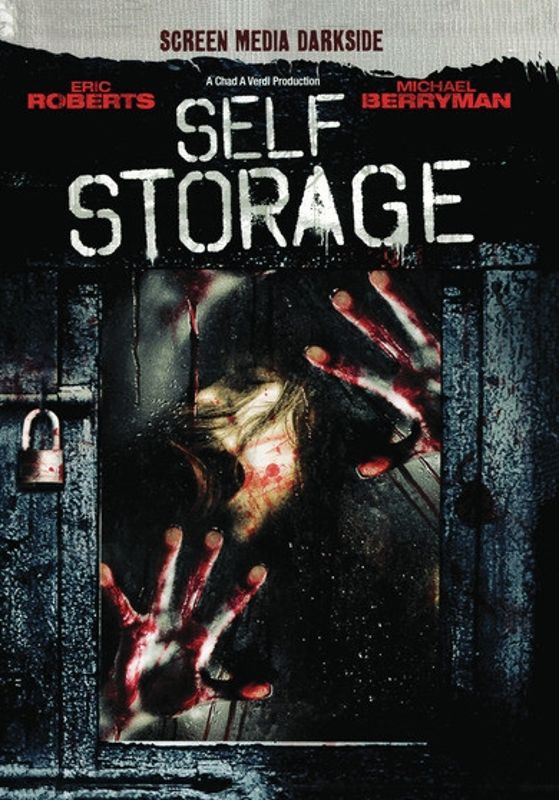 Self Storage cover art