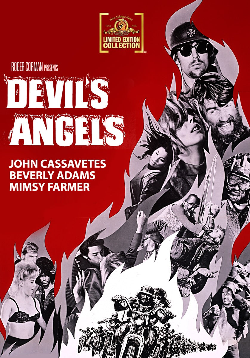 Devil's Angels cover art
