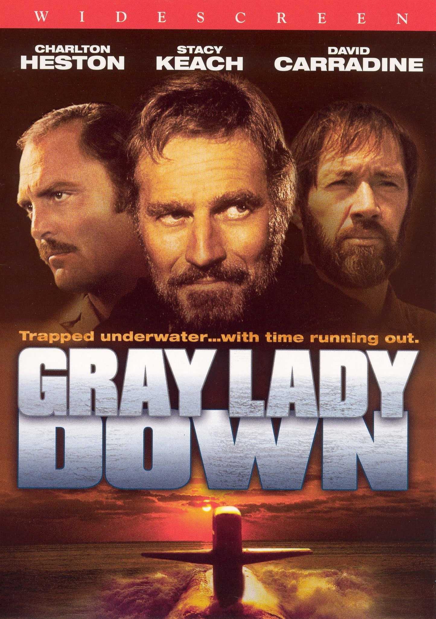 Gray Lady Down cover art