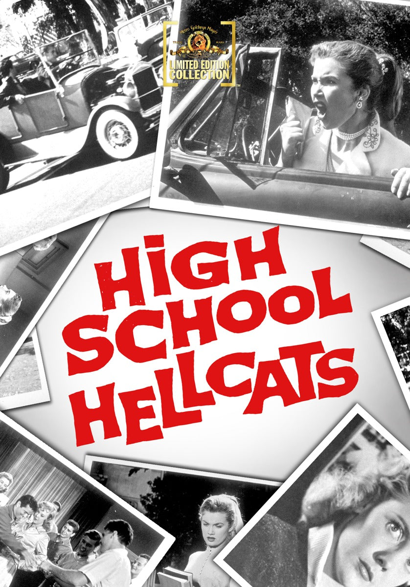 High School Hellcats cover art