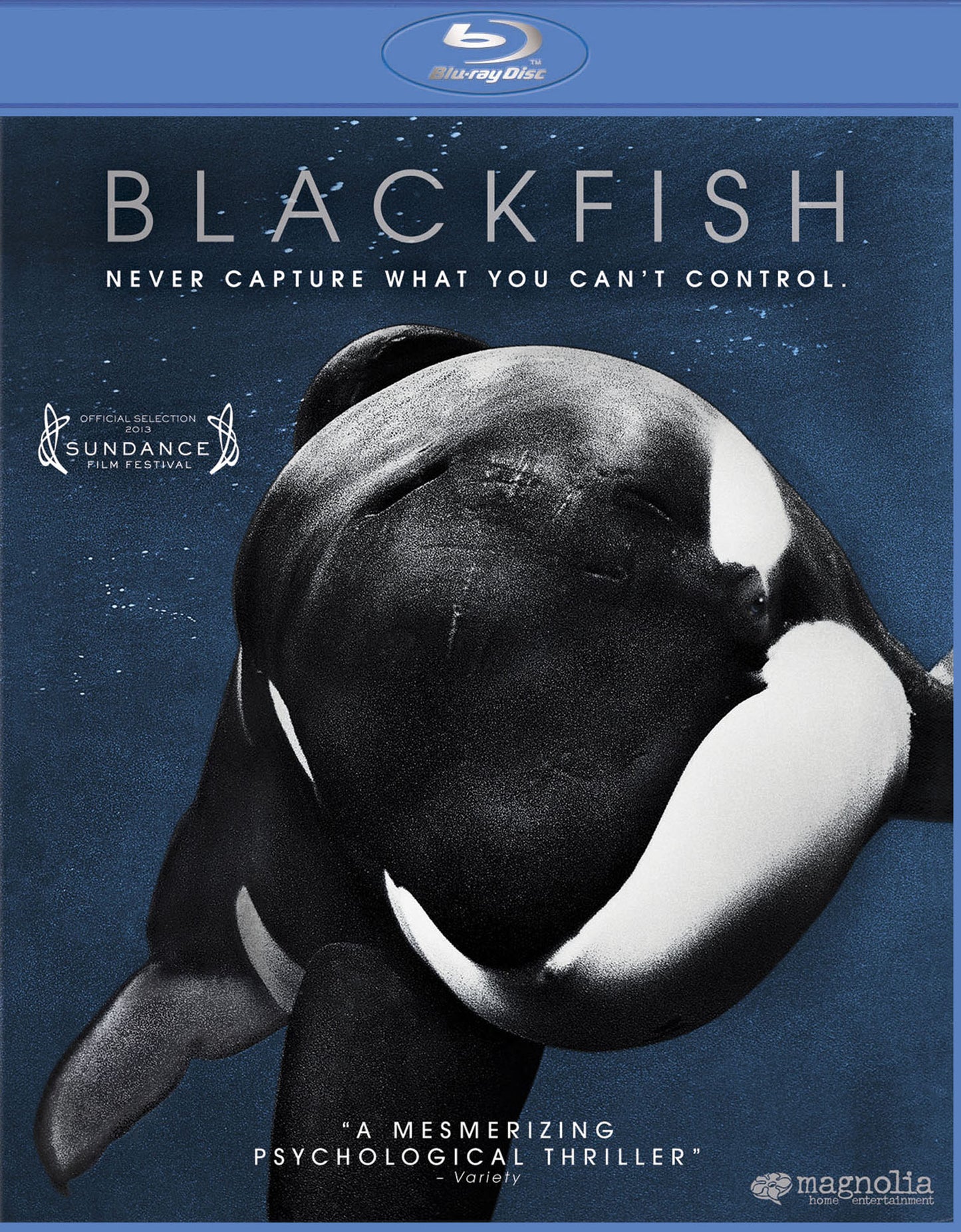 Blackfish [Blu-ray] cover art
