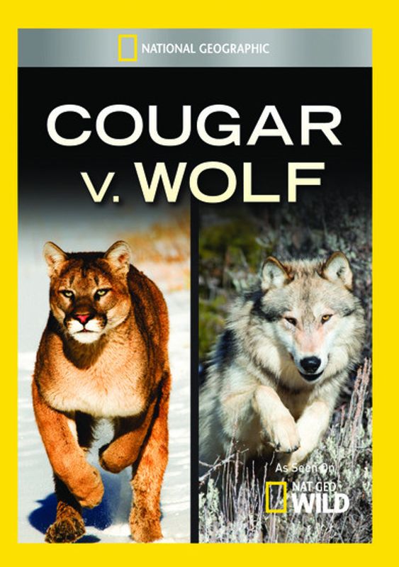 Cougar V. Wolf cover art