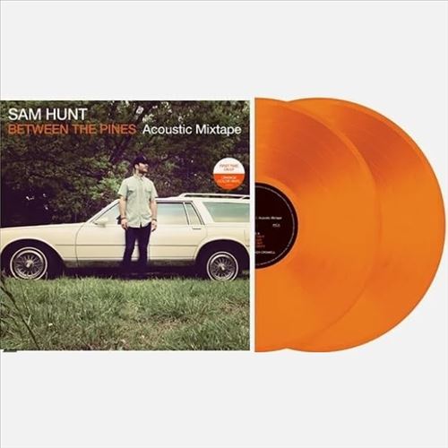 Between the Pines cover art