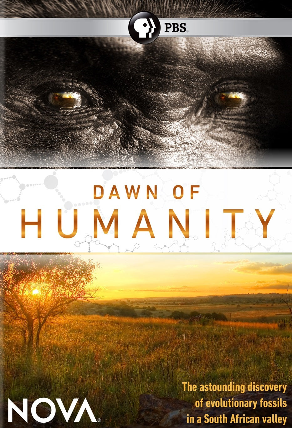 Nova Dawn Of Humanity Moviemars