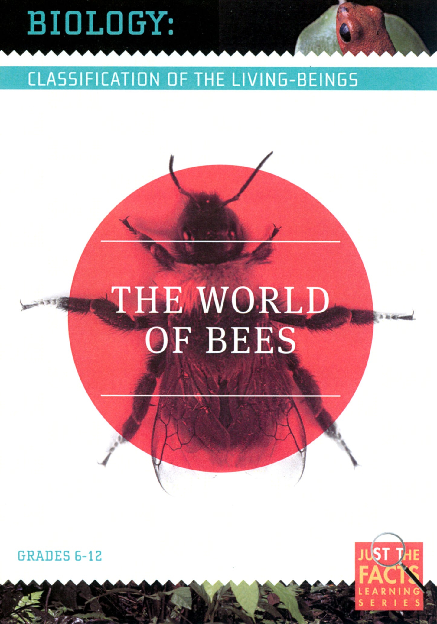 Biology Classification: The World of Bees cover art