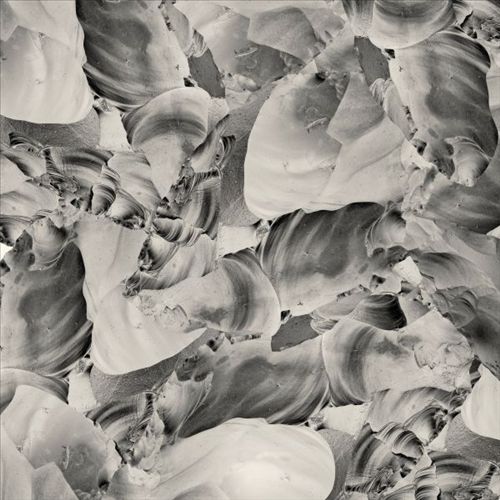 Ideas of Aesthetics [Digital Download Card] cover art