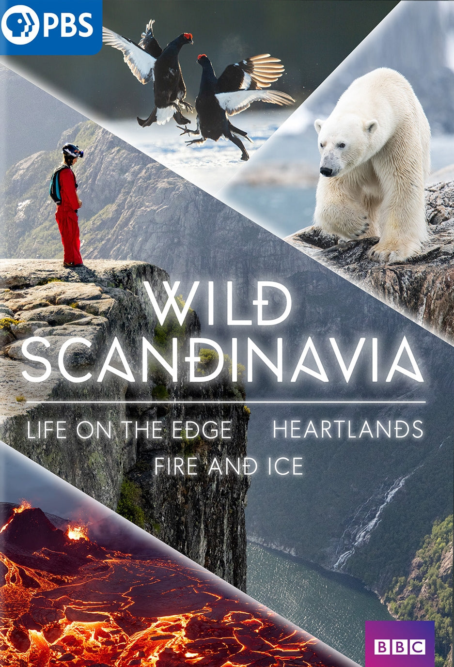 Wild Scandinavia cover art