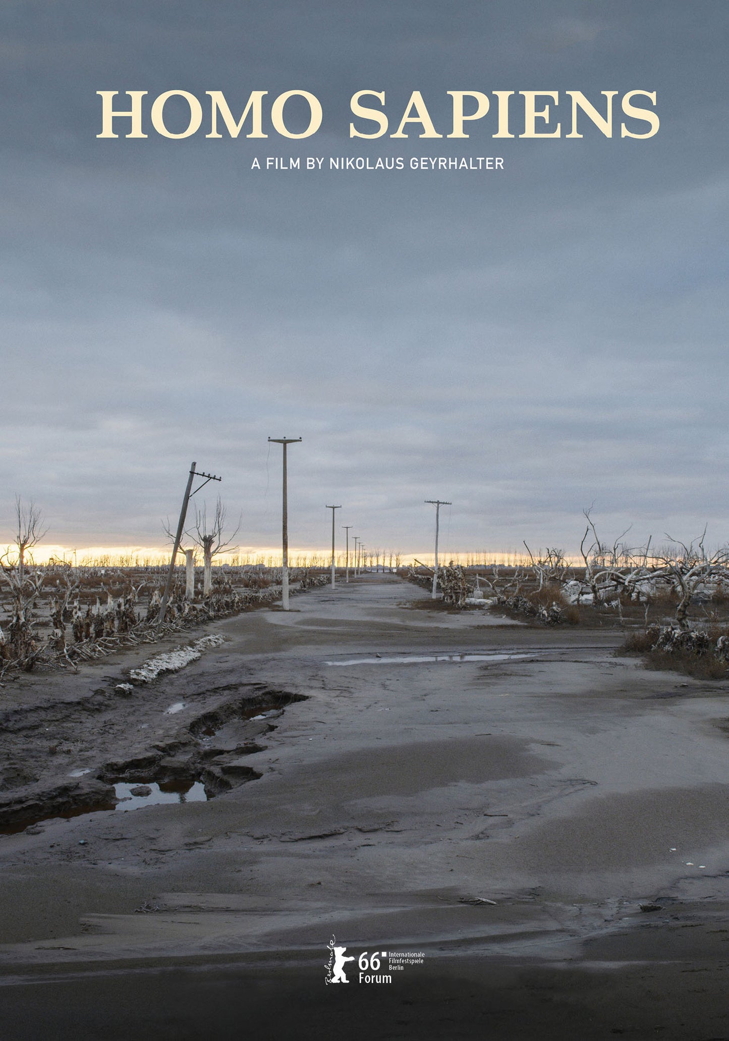 Homo Sapiens cover art