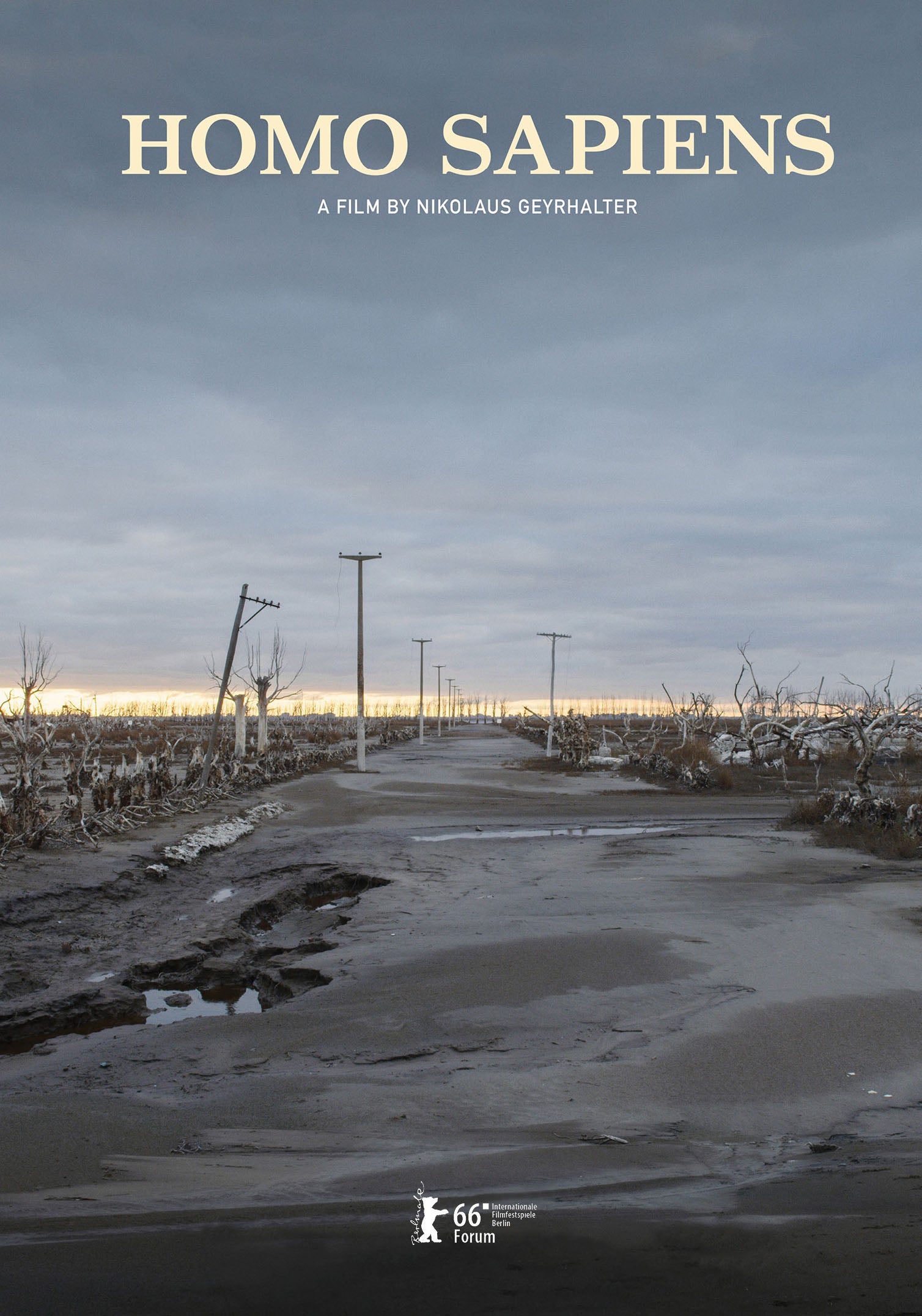 Homo Sapiens cover art