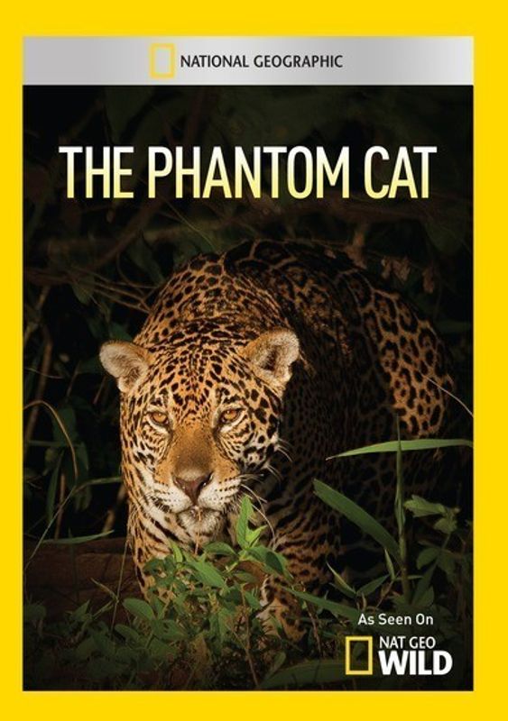Phantom Cat cover art