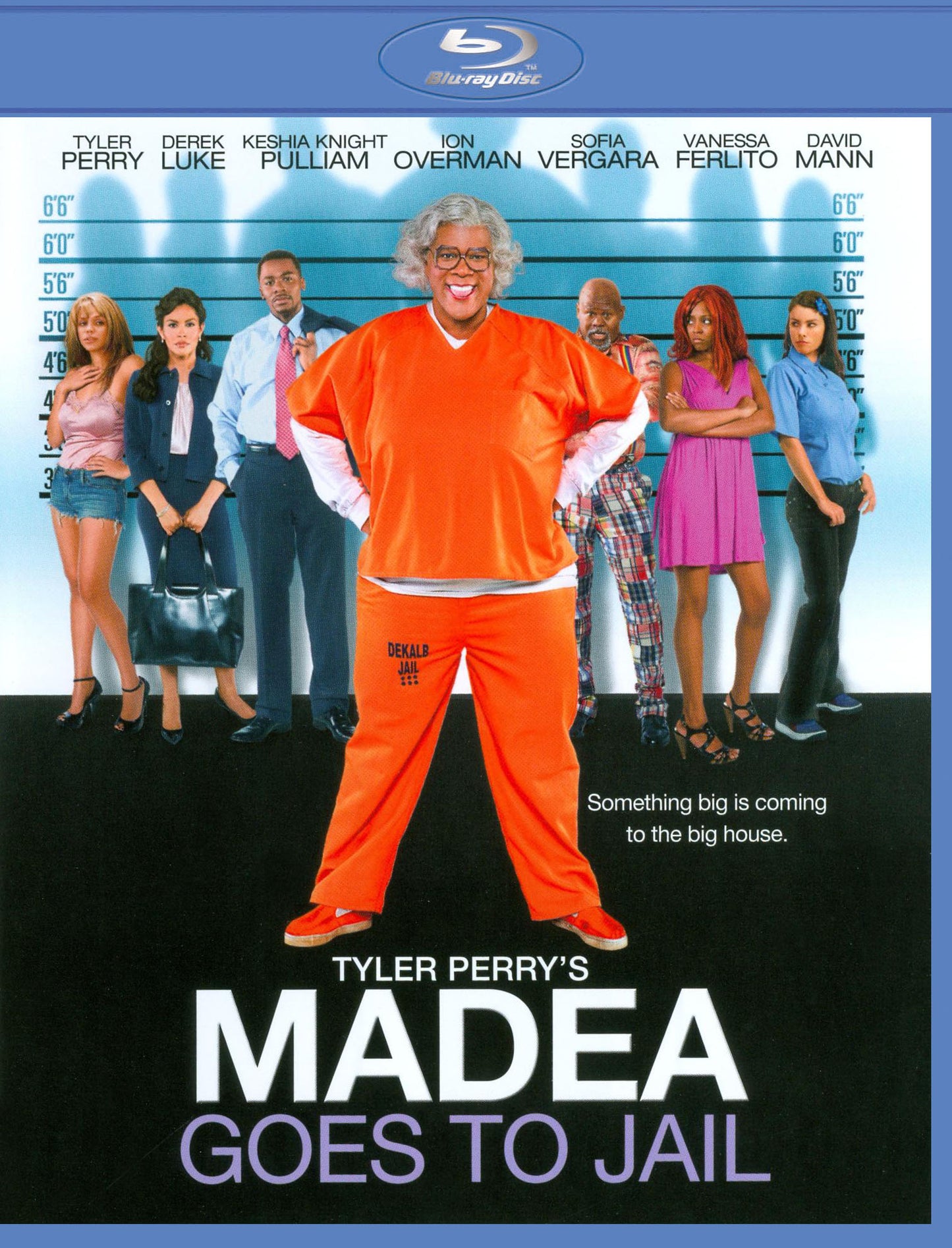 Tyler Perry's Madea Goes to Jail [Blu-ray] cover art