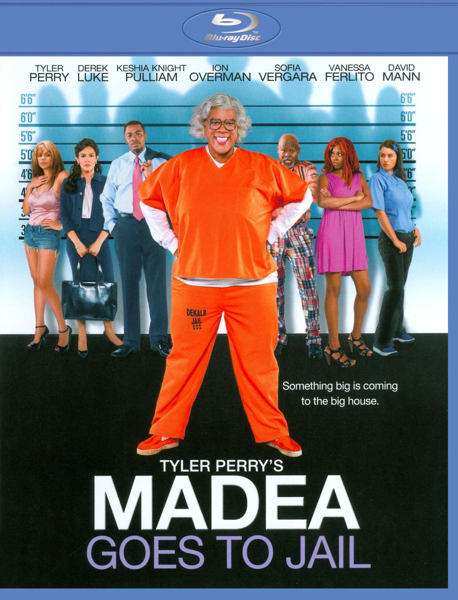 Tyler Perry's Madea Goes to Jail [Blu-ray] cover art