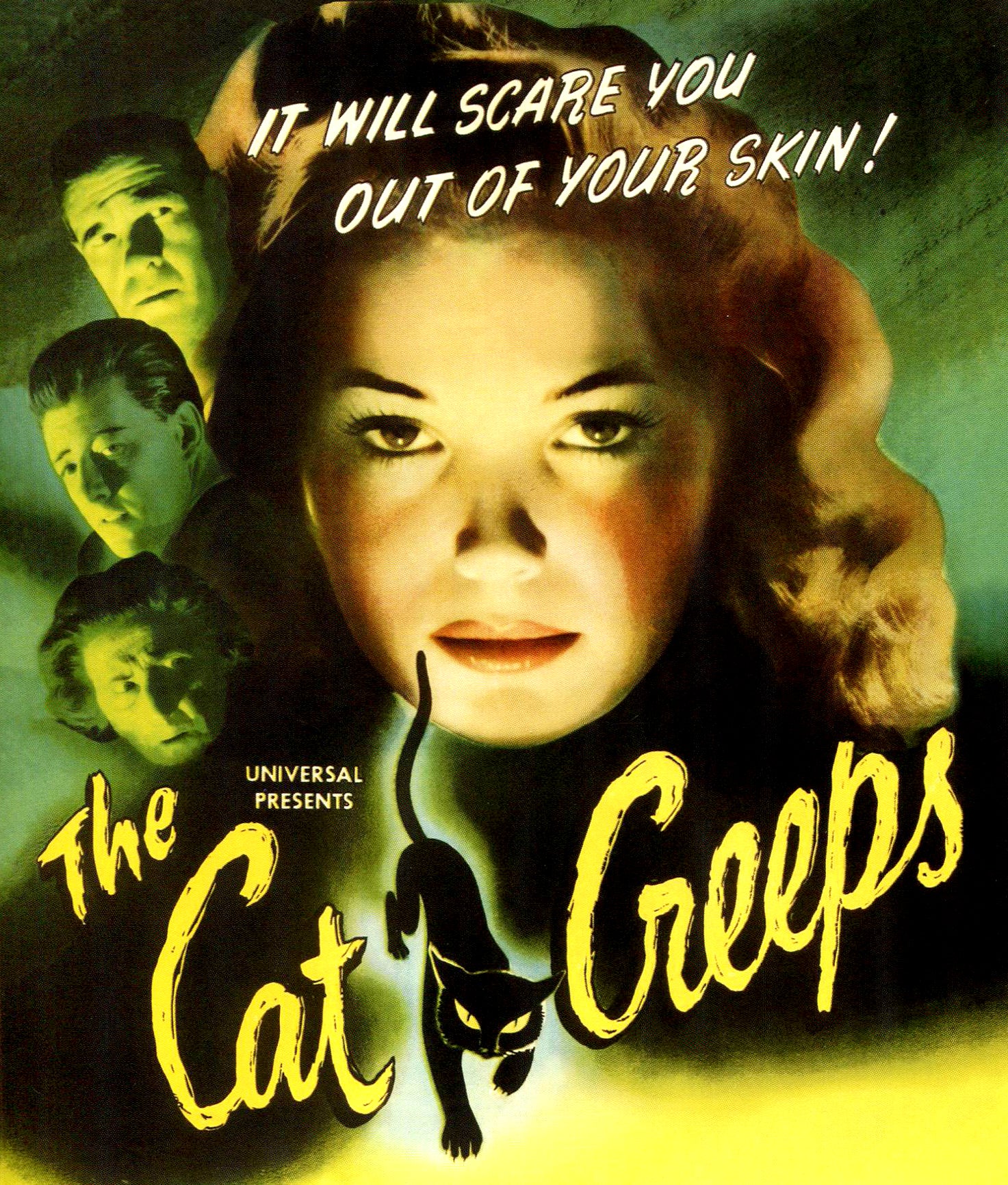 Cat Creeps [Blu-ray] cover art
