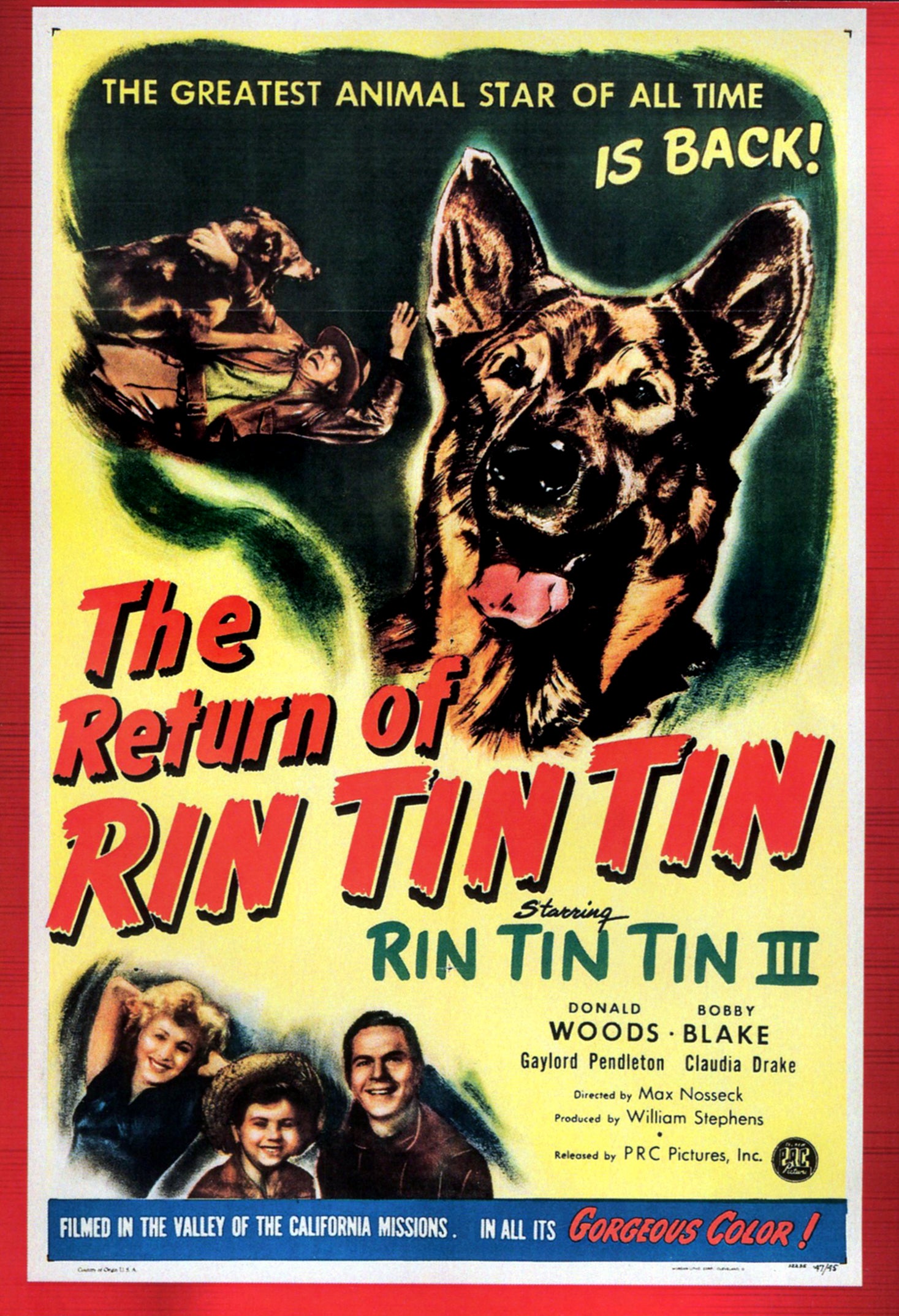 Return of Rin Tin Tin cover art