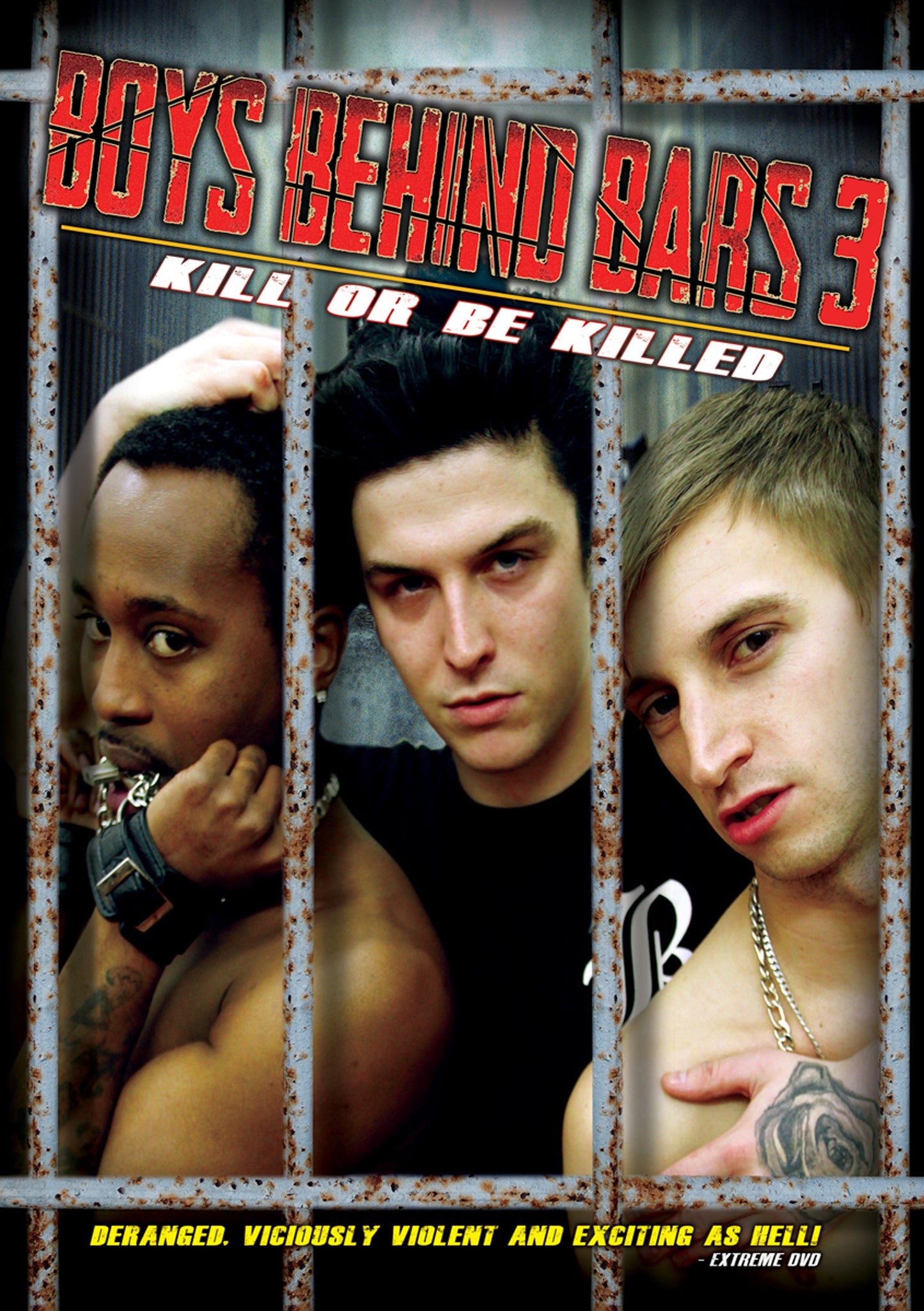Boys Behind Bars 3 cover art