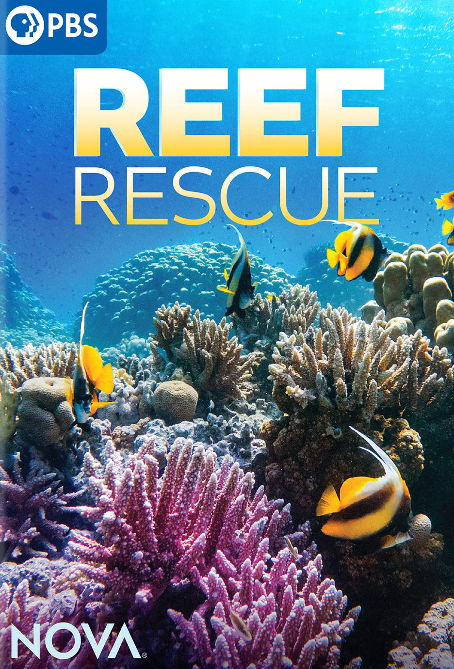 NOVA: Reef Rescue cover art