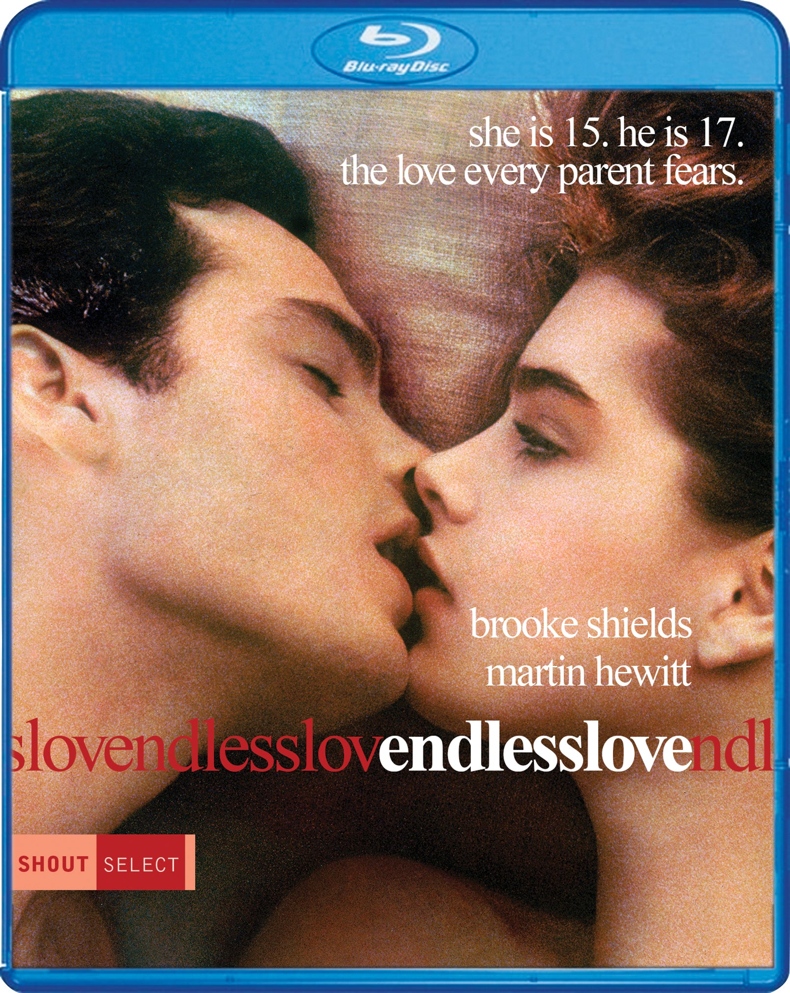 Endless Love [Blu-ray] cover art