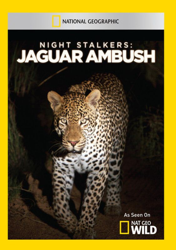 Night Stalkers: Jaguar Ambush cover art