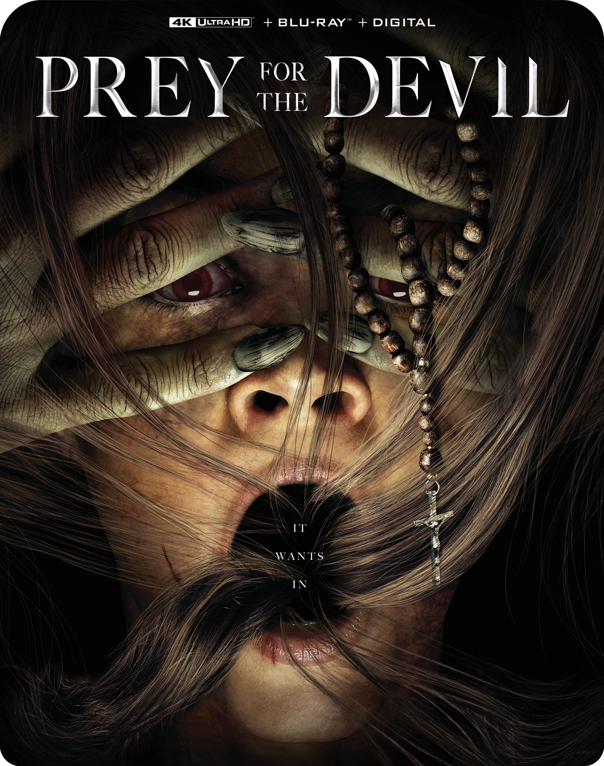 Prey for the Devil [Includes Digital Copy] [4K Ultra HD Blu-ray/Blu-ray] cover art