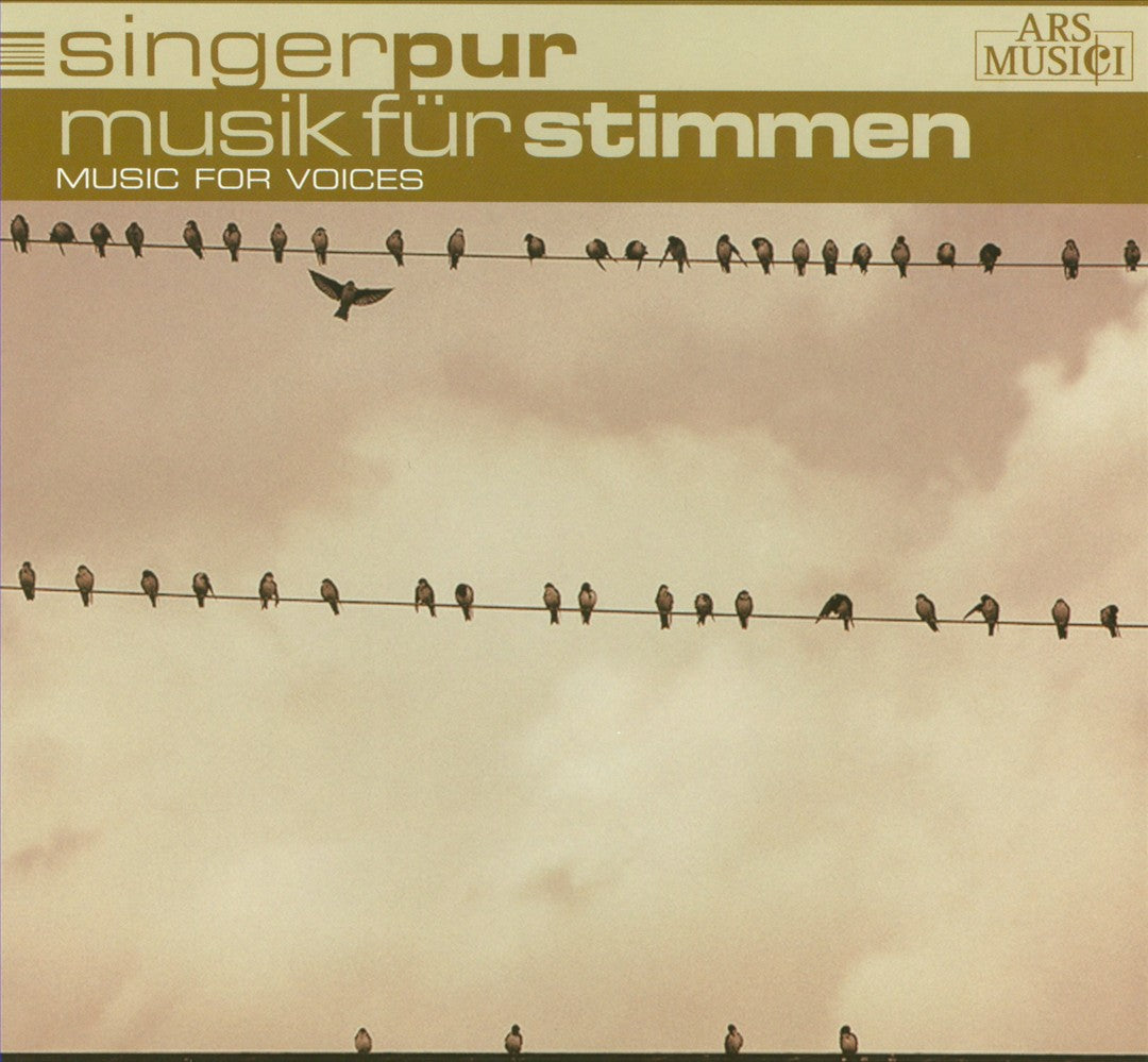 Musik für Stimmen cover art