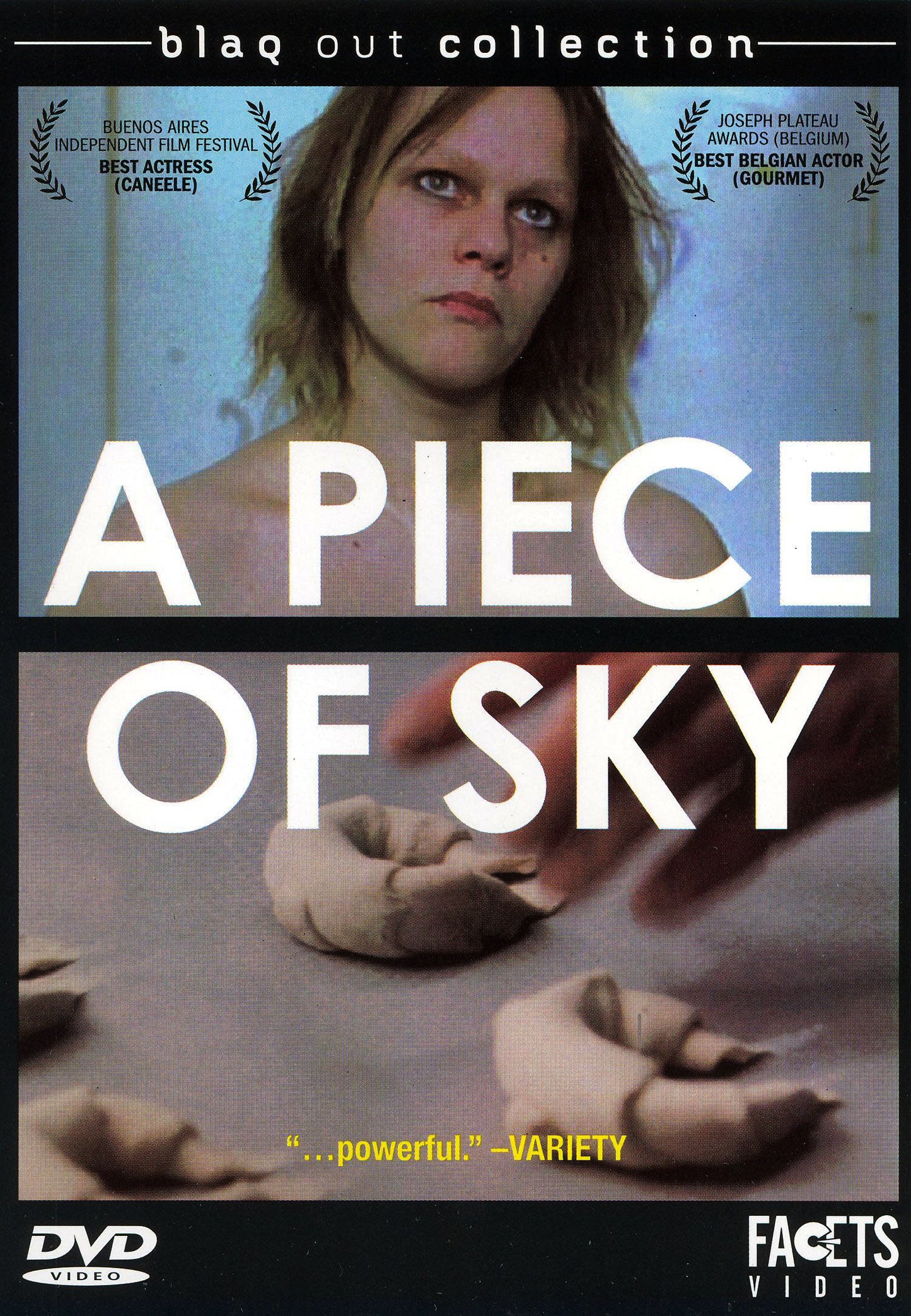 Piece of Sky cover art