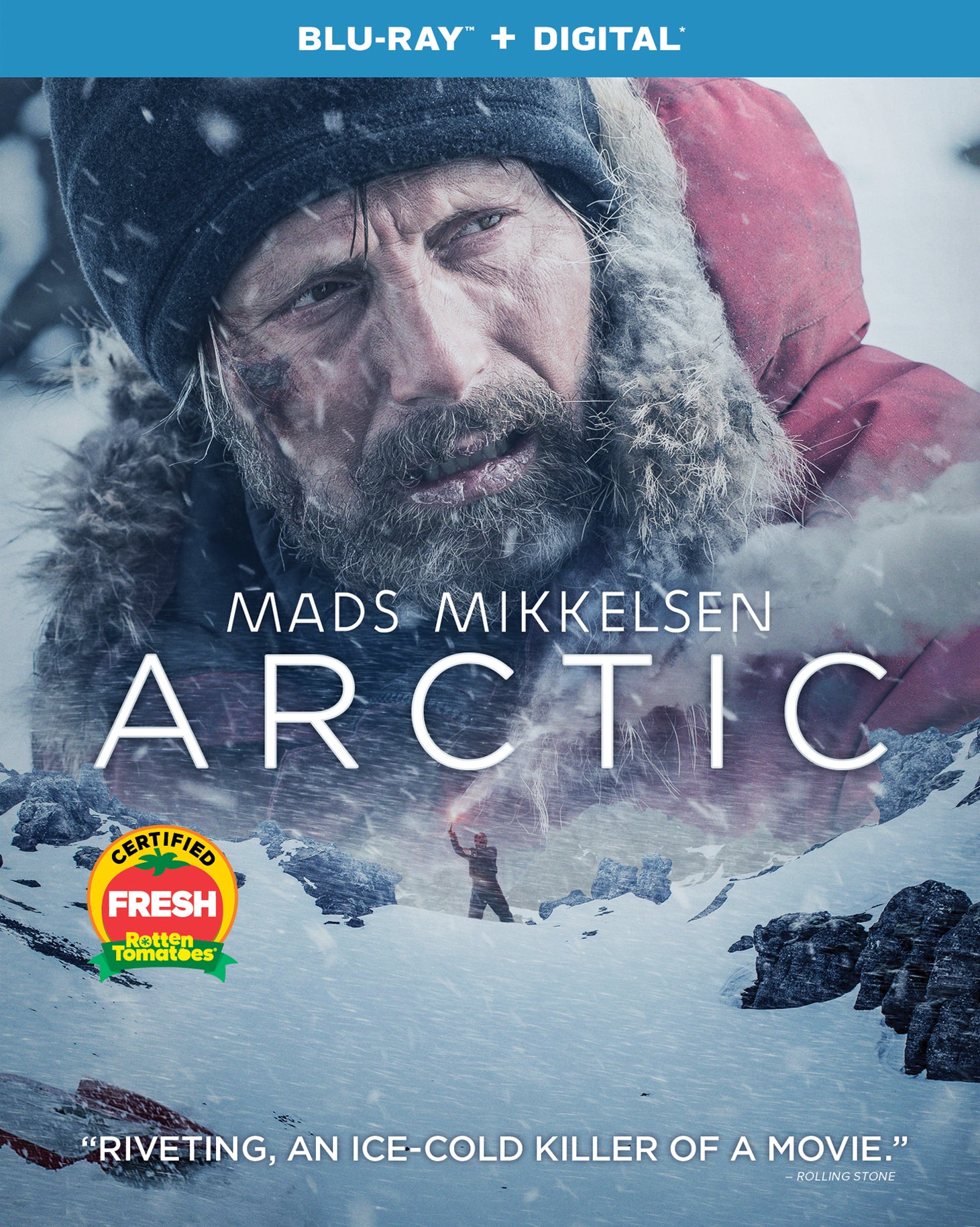 Arctic [Includes Digital Copy] [Blu-ray] cover art