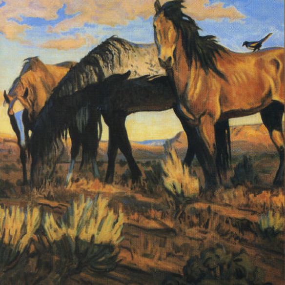 Songs from the Gravel Road [DVD] cover art