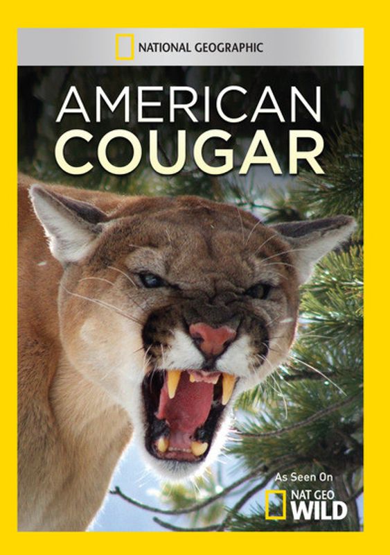 American Cougar cover art
