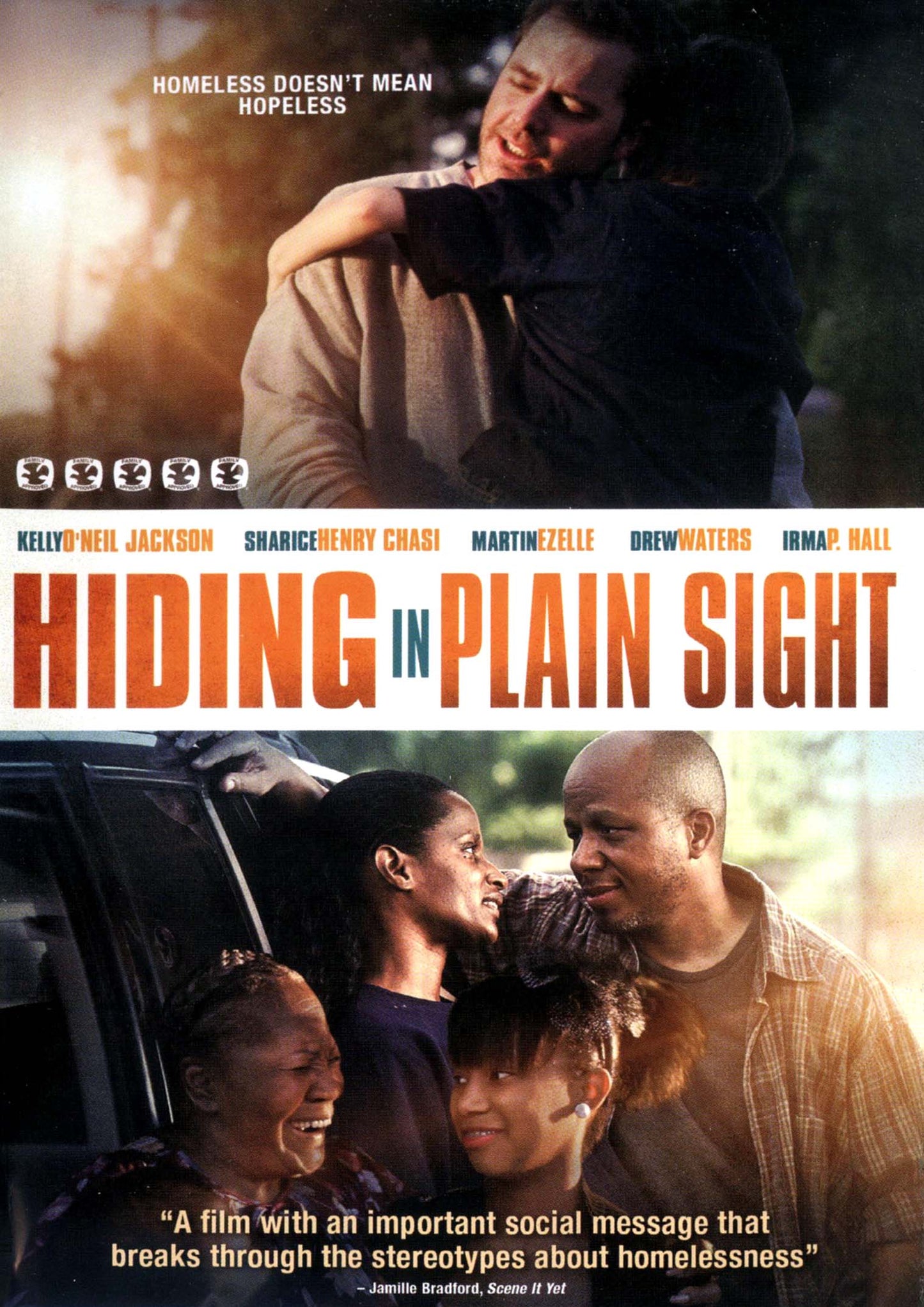 Hiding in Plain Sight cover art