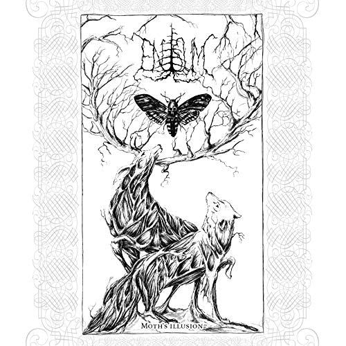 Moth's Illusion  cover art