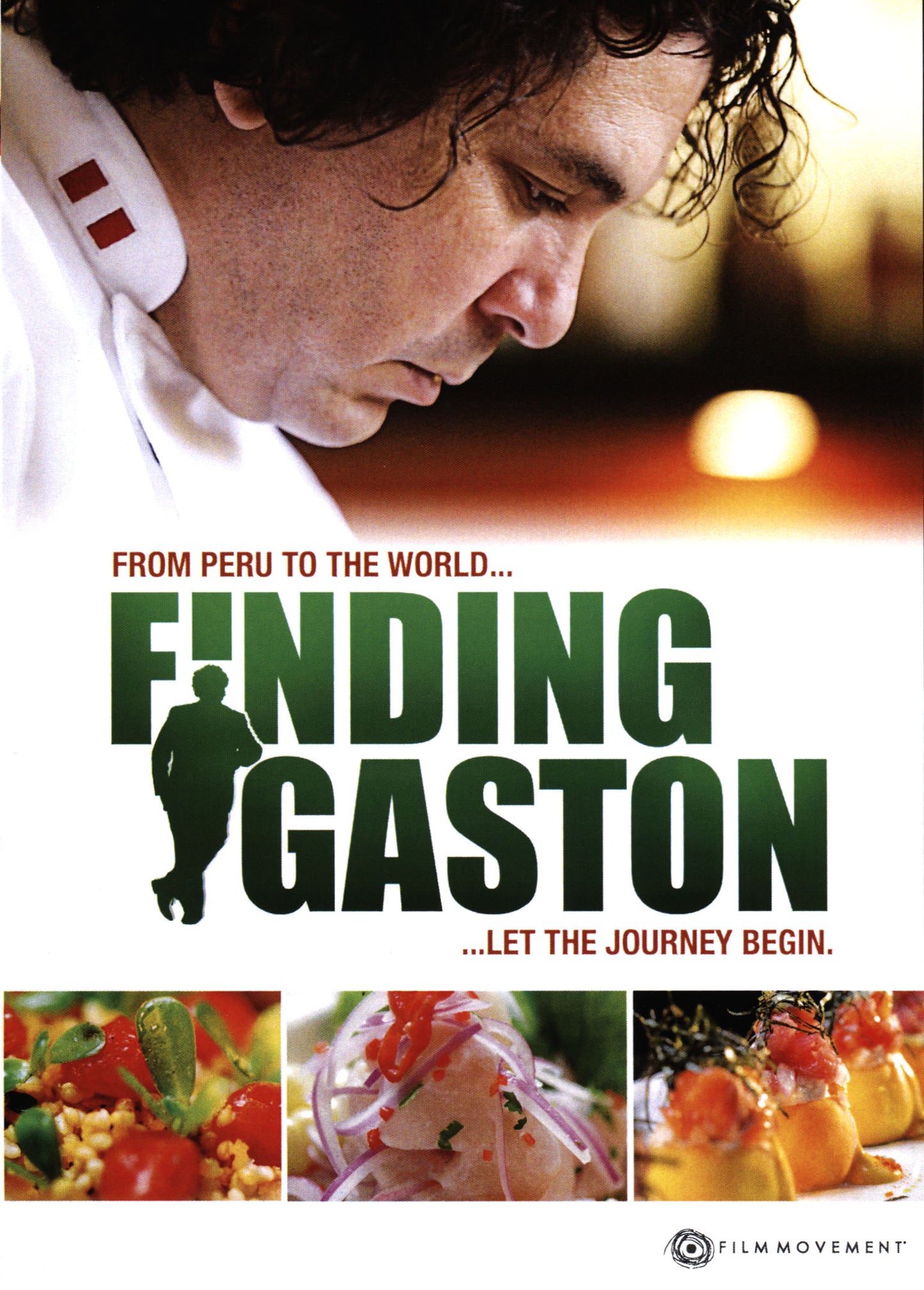 Finding Gaston cover art