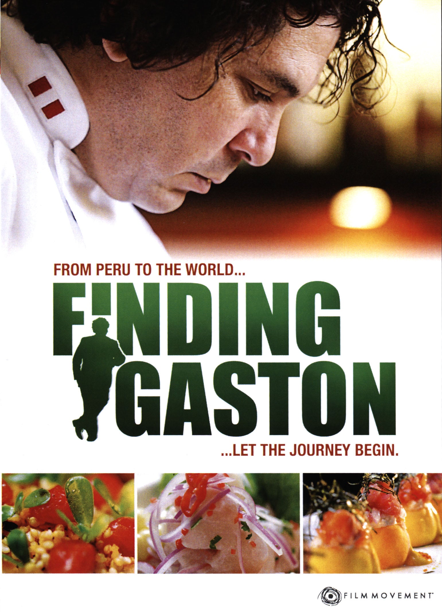 Finding Gaston cover art
