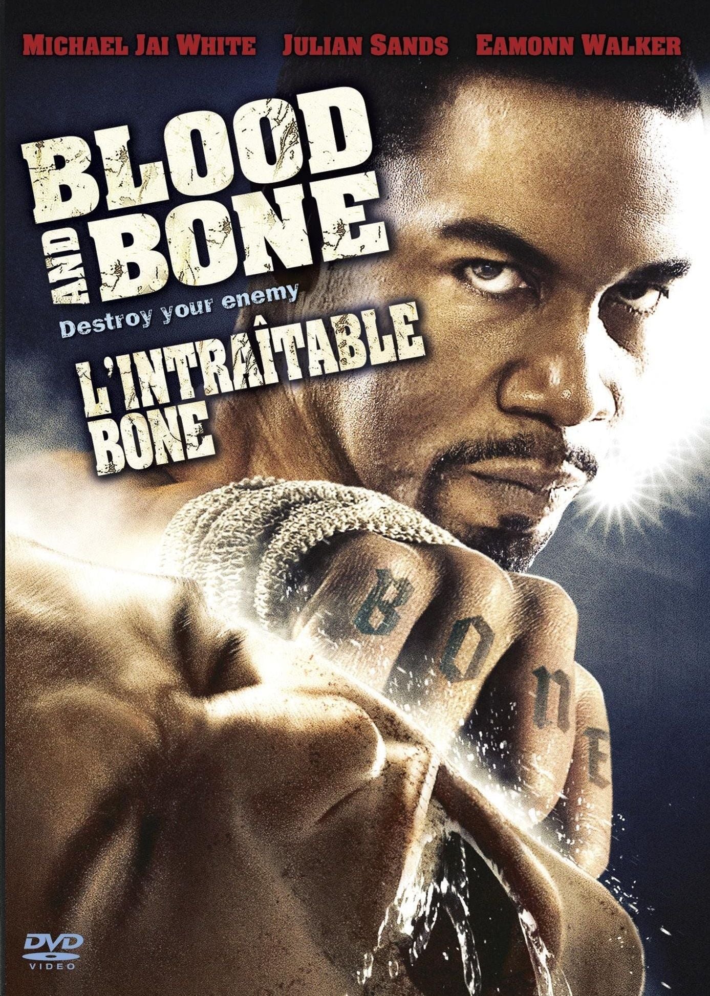 Blood and Bone cover art