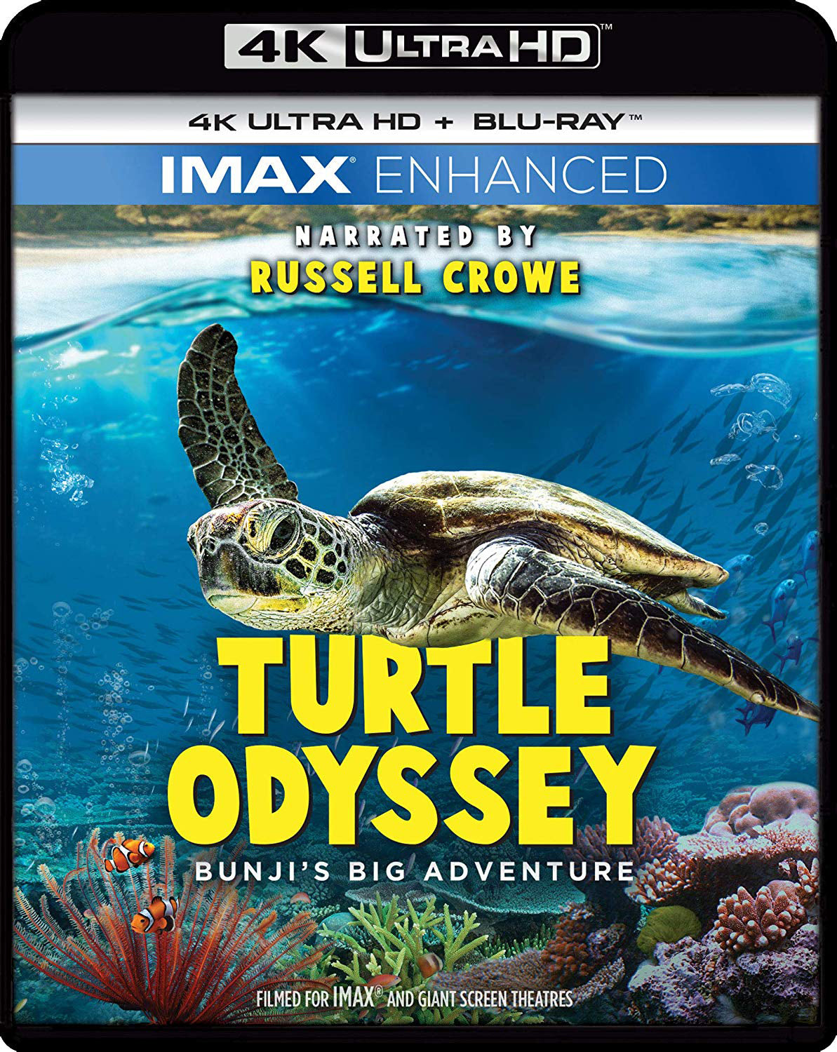 Turtle Odyssey [4K Ultra HD Blu-ray/Blu-ray] cover art