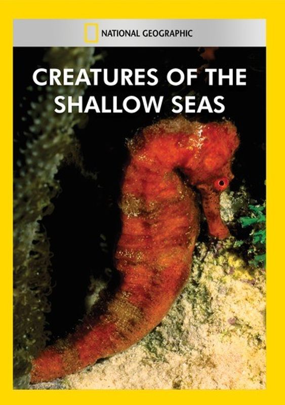 Creatures of the Shallow Seas cover art