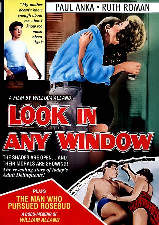 Look in Any Window cover art